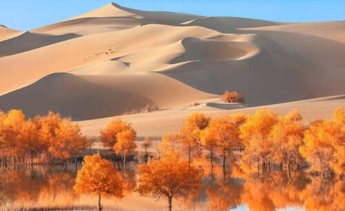12-Day South Xinjiang Adventure Tour