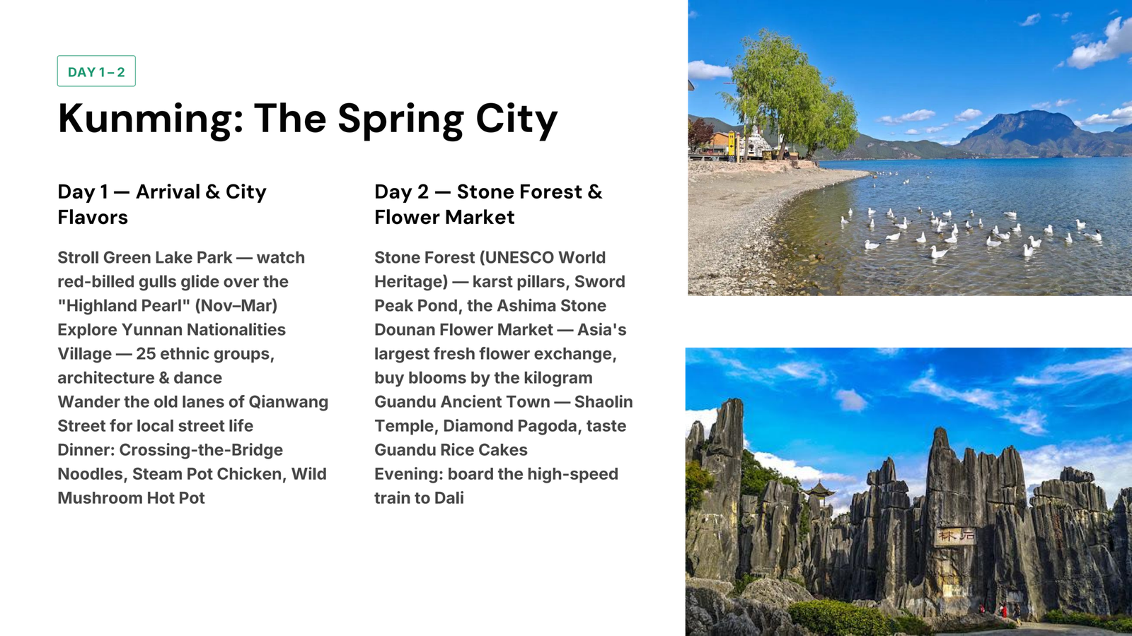 Kunming cityscape with nature and activities