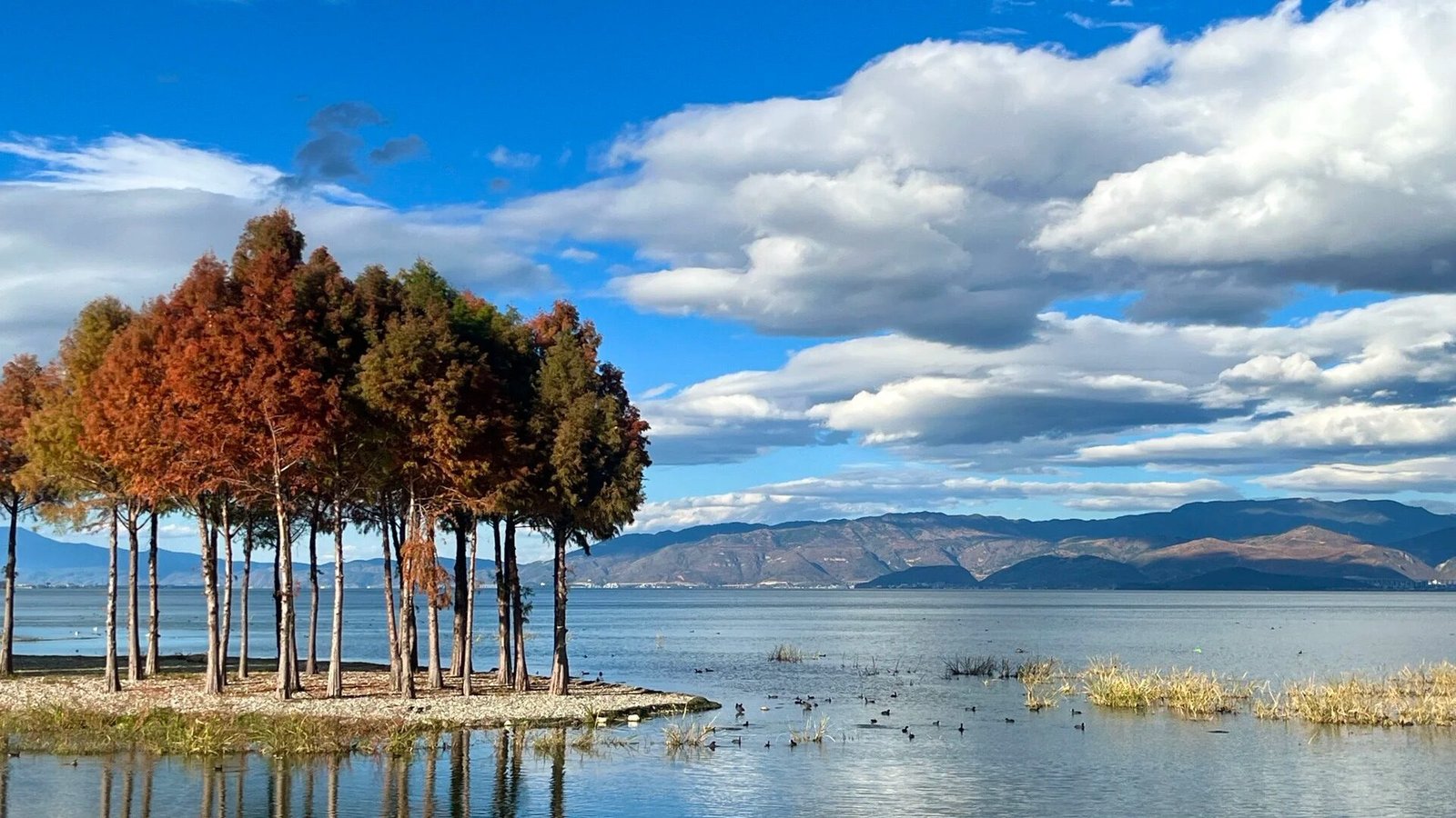 Yunnan-Unveiled-A-10-Day-Private-Journey - Image 3